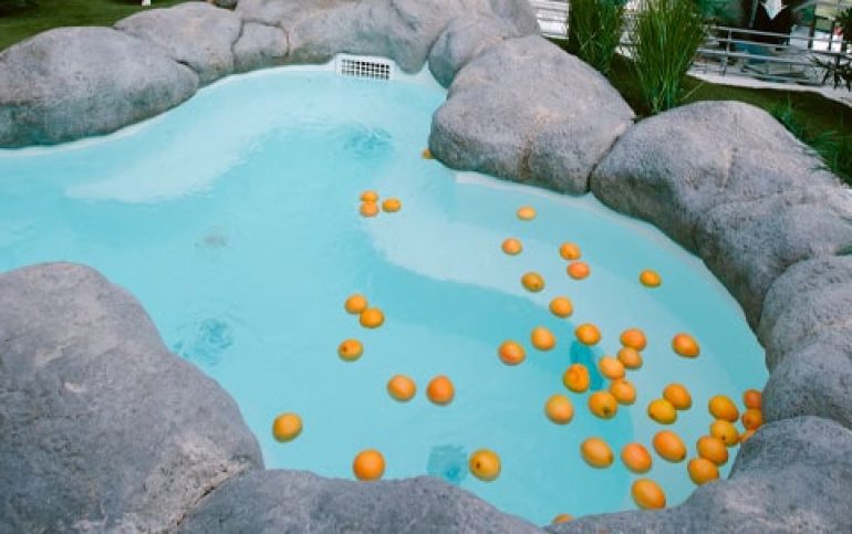 Grapefruit Bath